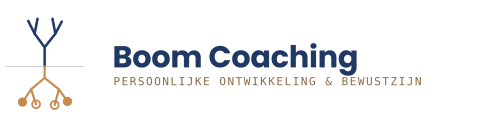 Boom Coaching