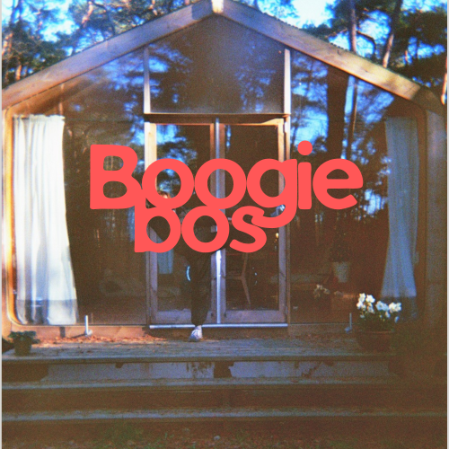 Boogiebos