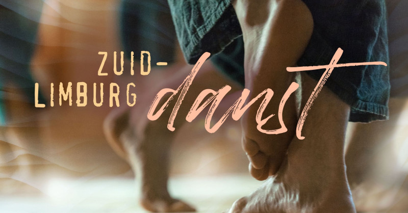 Zuid Limburg Danst Netwerk