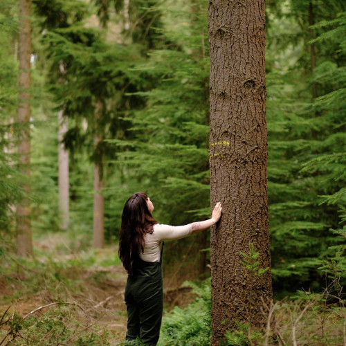 Saorsa - Bosbaden & natuurverbinding