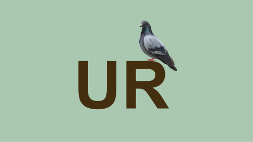 Urban Rewilding