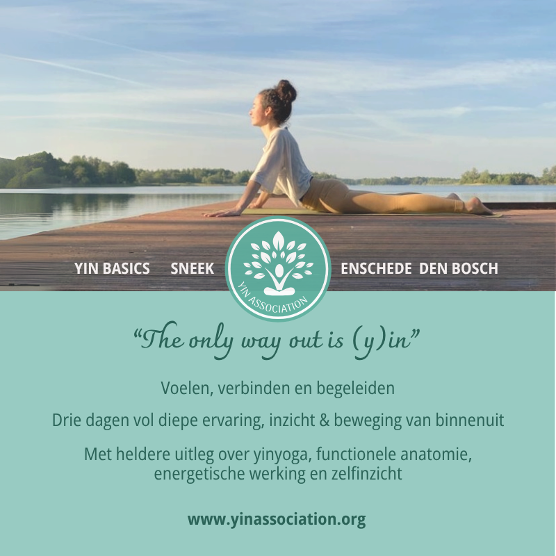 Yin Association