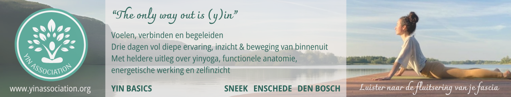 Yin Association